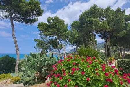 Cavallino Sea House Cefalù Kültér fotó